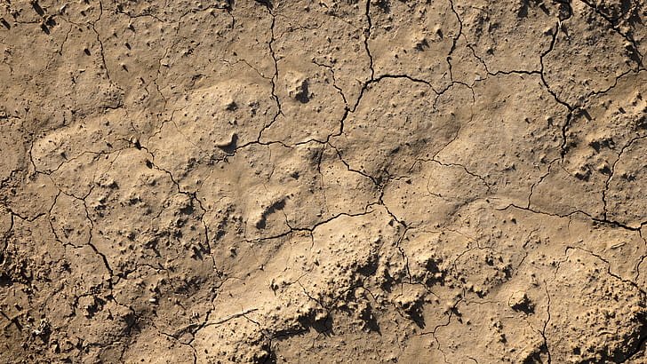 What is soil erosion and soil degradation.  Discuss the causes of soil erosion.