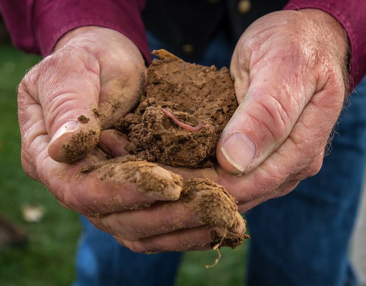 What is soil conservation?  Write some methods for soil conservation.